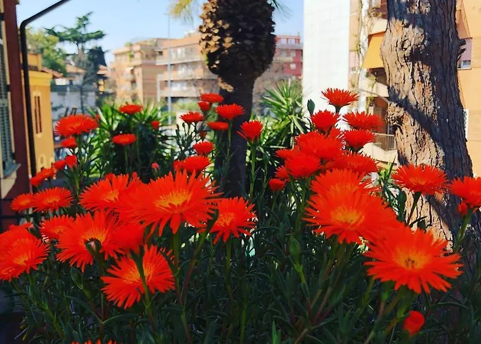 伊尔坦皮奥二莫菲奥旅馆