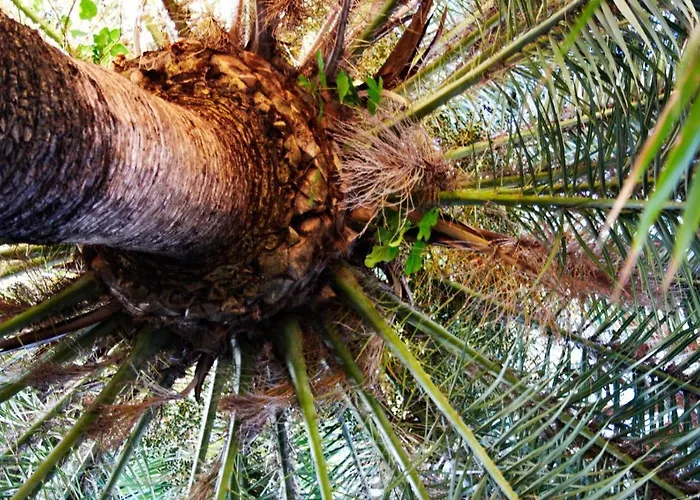 伊尔坦皮奥二莫菲奥旅馆